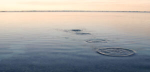The Skim - August's business inspiration summary - skimming pebbles