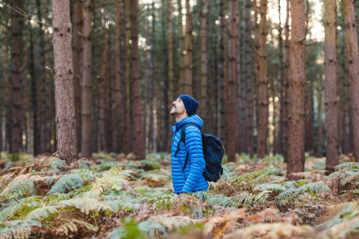 Man in the forest hiking and exploring wild remote areas