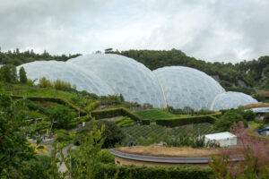 6 Reasons You Should Study a Sustainability MSc - Eden Project